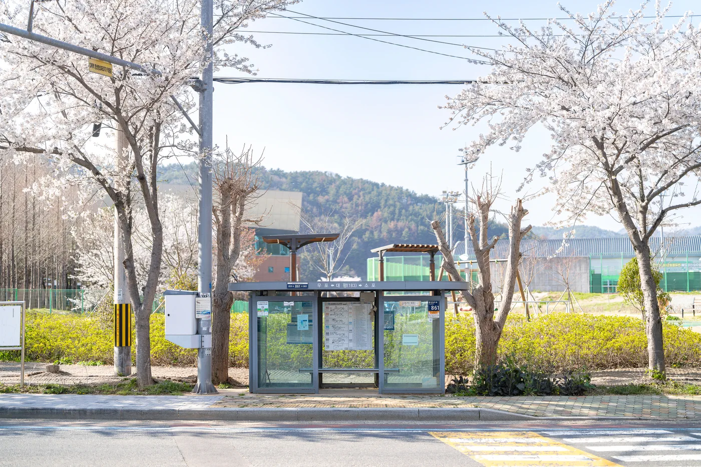 Visitors from abroad can comfortably explore it by public transportation.