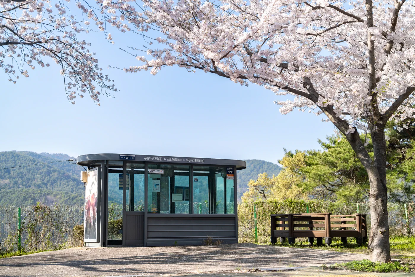 There are bus stops everywhere.